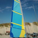 3.5m² ris